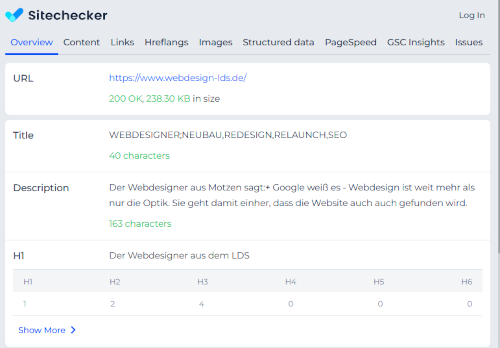 bild sitechecker